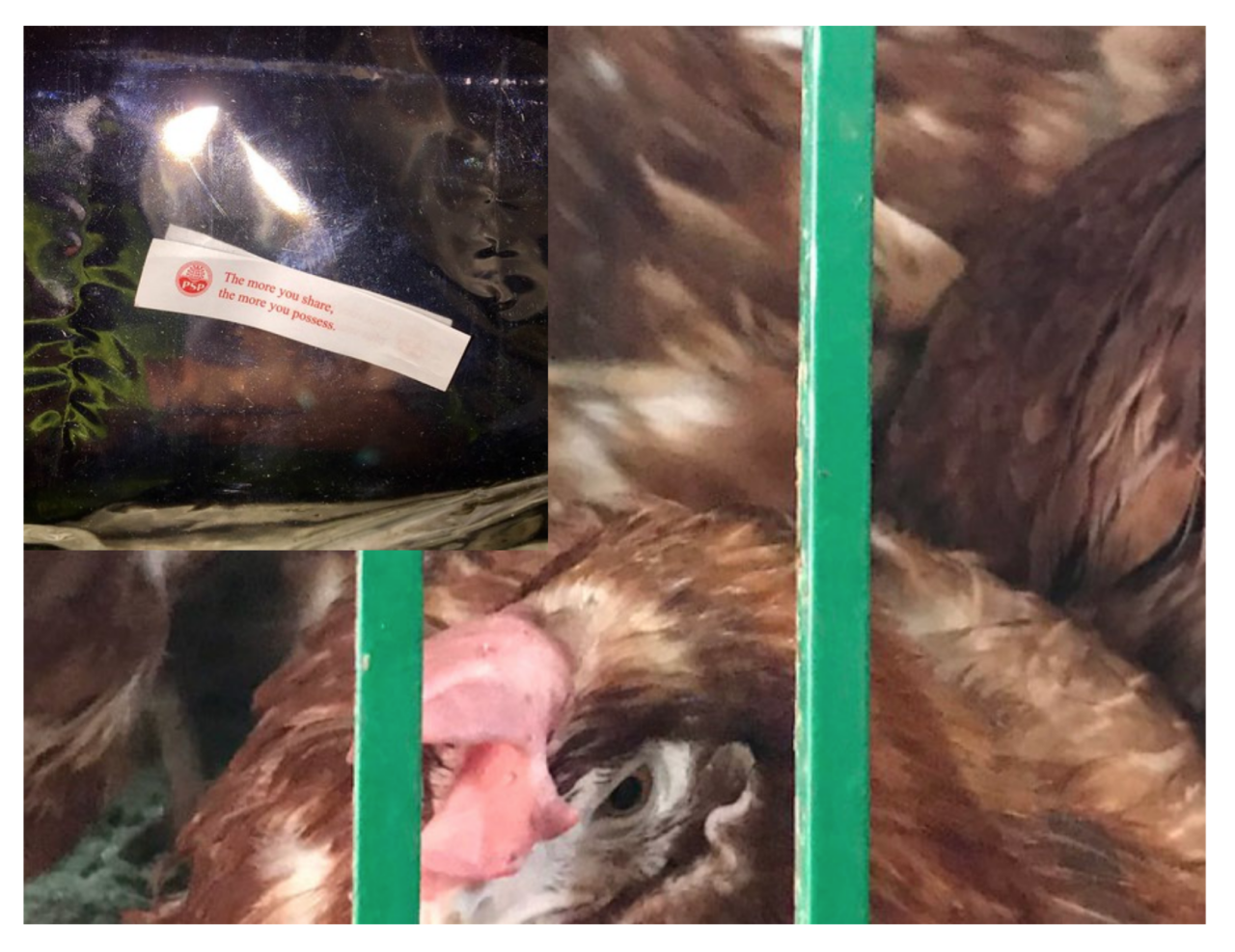 the more you share.png